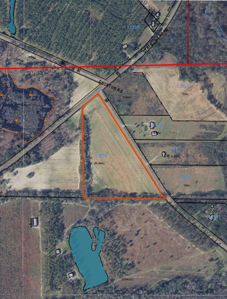 0 South Rambo Mill Road Cottonwood, AL 36320 - Photo 3 of 18