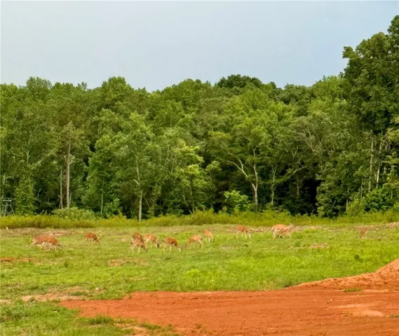 $1,999,999 | 160 Smith Motors Road, Belton, SC 29627