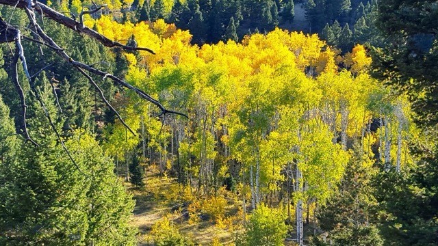 3414 Divide Creek Road Divide, MT 59727 - Photo 25 of 61 Gallery Image 25