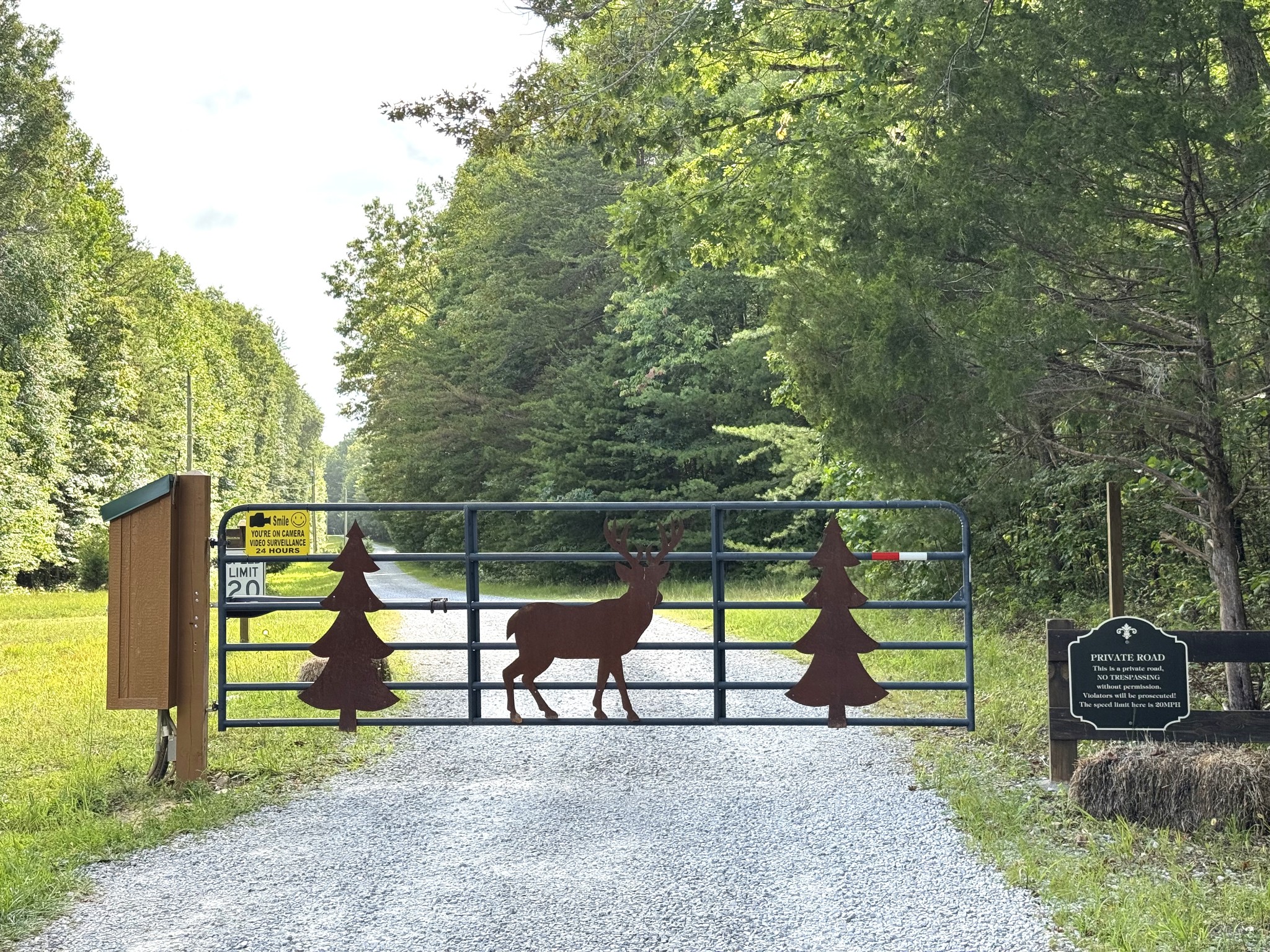 0 Indian Camp Creek Road Altamont, TN 37301 - Photo 1 of 24 a view of park with swing