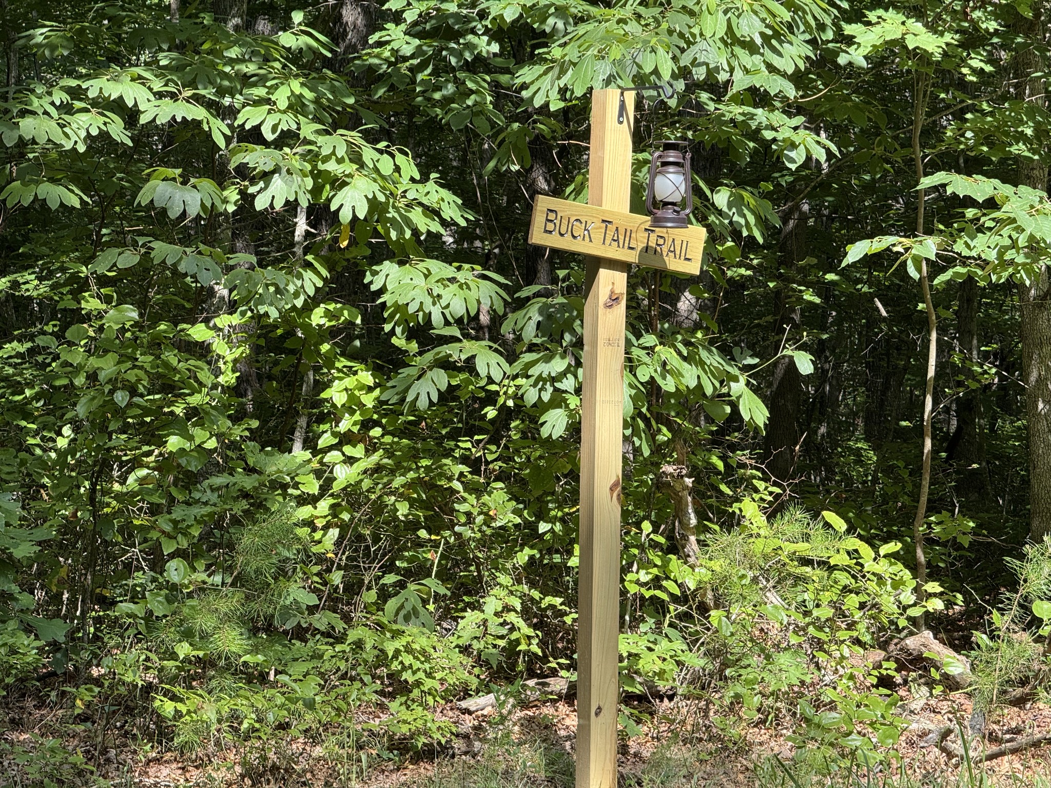 0 Indian Camp Creek Road Altamont, TN 37301 - Photo 12 of 24 a street sign on a pole