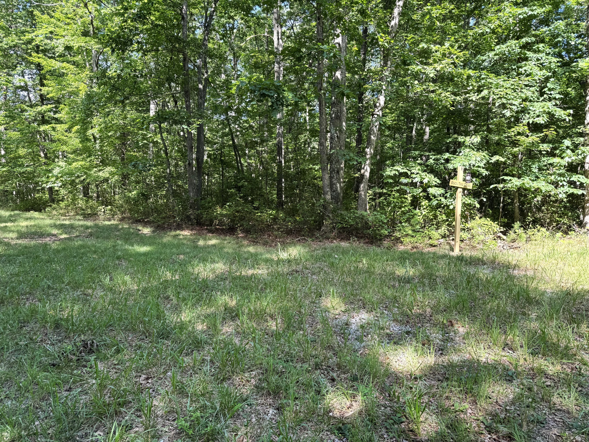 0 Indian Camp Creek Road Altamont, TN 37301 - Photo 13 of 24 a big yard with lots of green space and deers