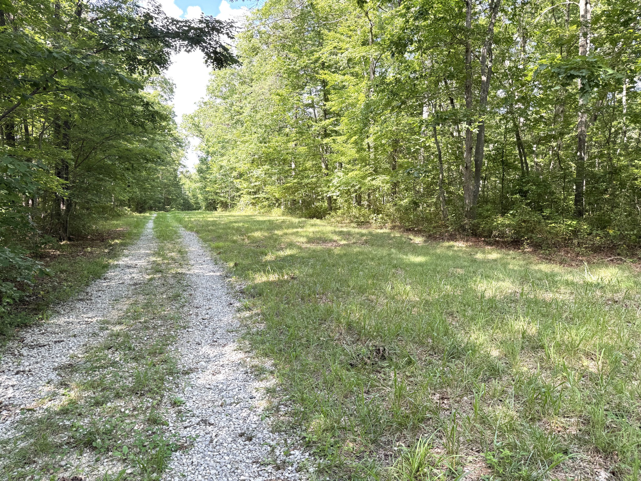 0 Indian Camp Creek Road Altamont, TN 37301 - Photo 14 of 24 a view of yard with green space