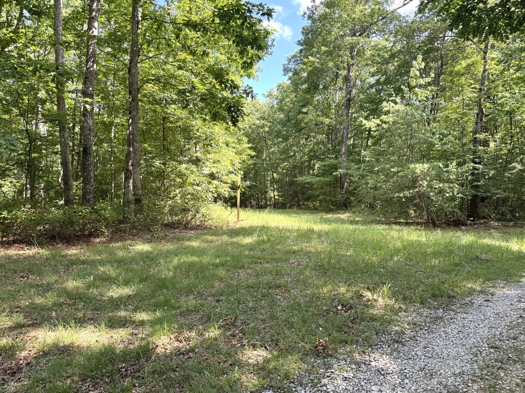 0 Indian Camp Creek Road Altamont, TN 37301 - Photo 15 of 24 a view of outdoor space and yard