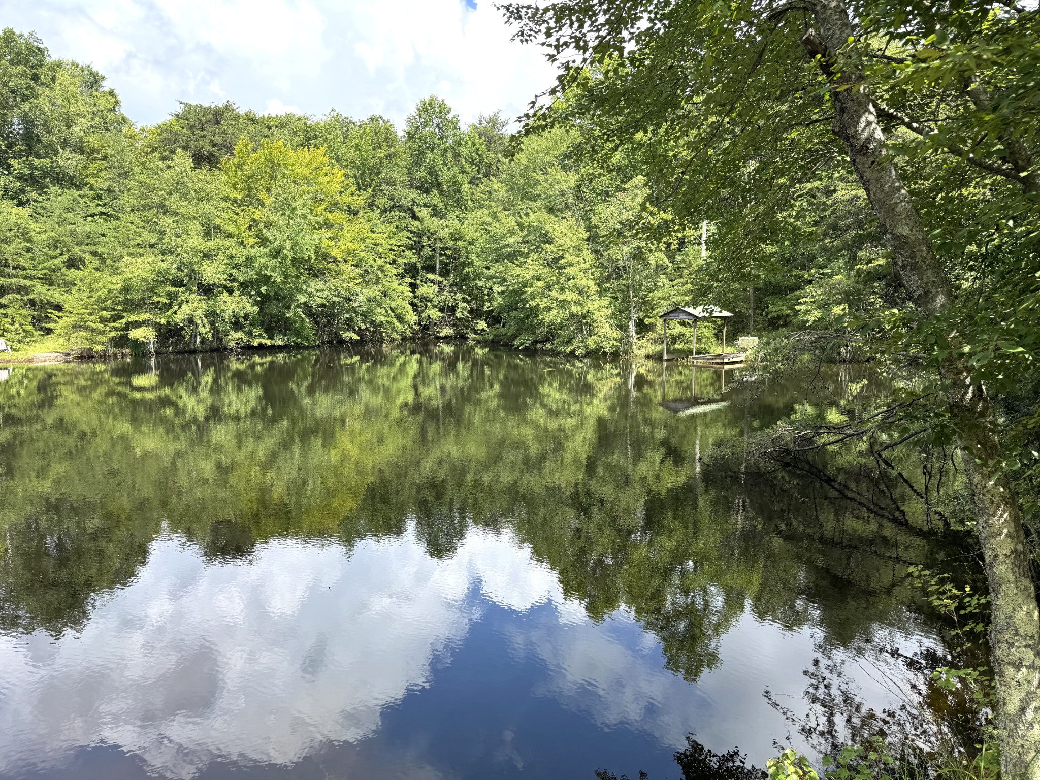 0 Indian Camp Creek Road Altamont, TN 37301 - Photo 22 of 24 a view of a lake from a yard