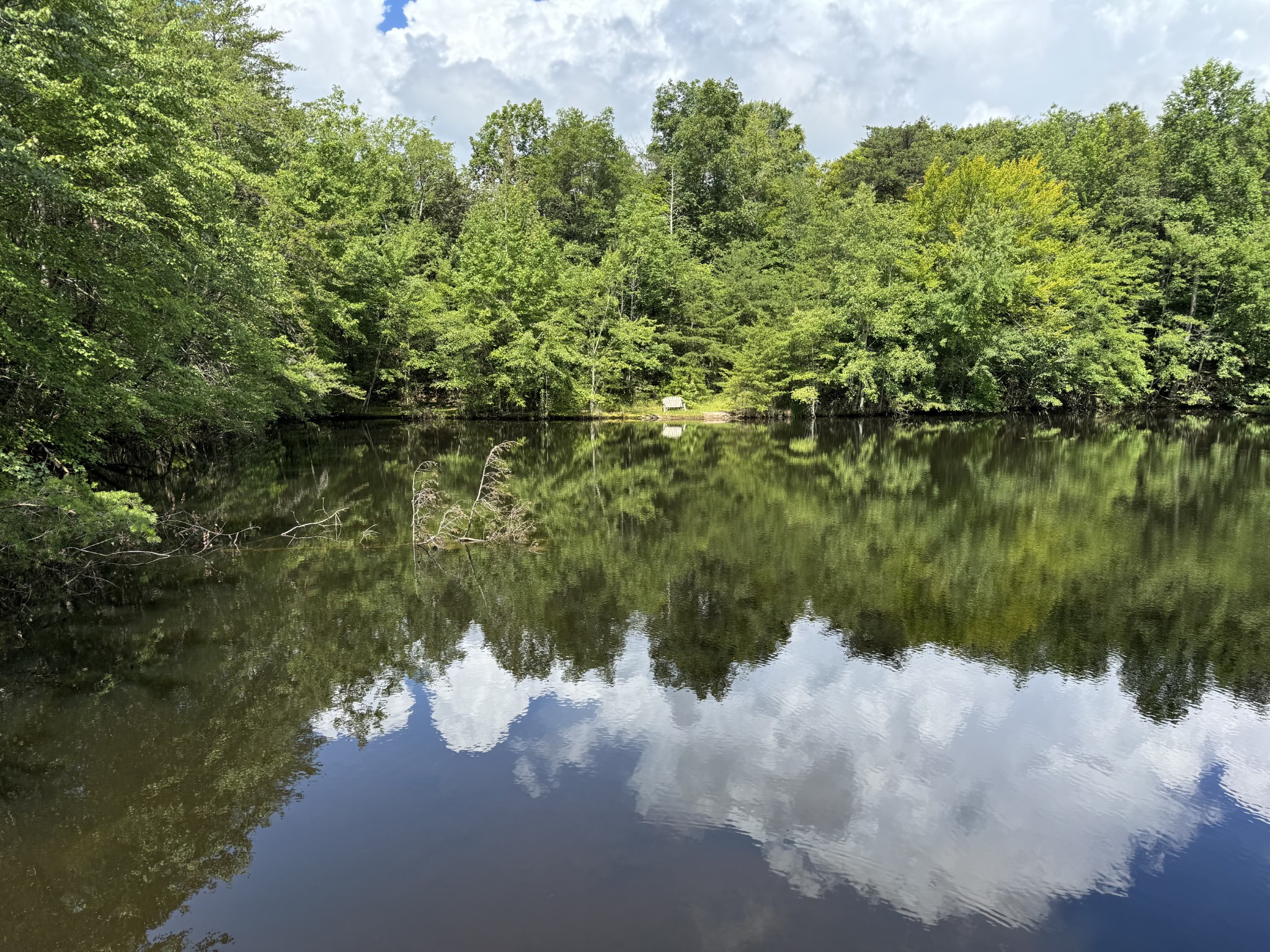 0 Indian Camp Creek Road Altamont, TN 37301 - Photo 23 of 24 a view of a lake with a forest