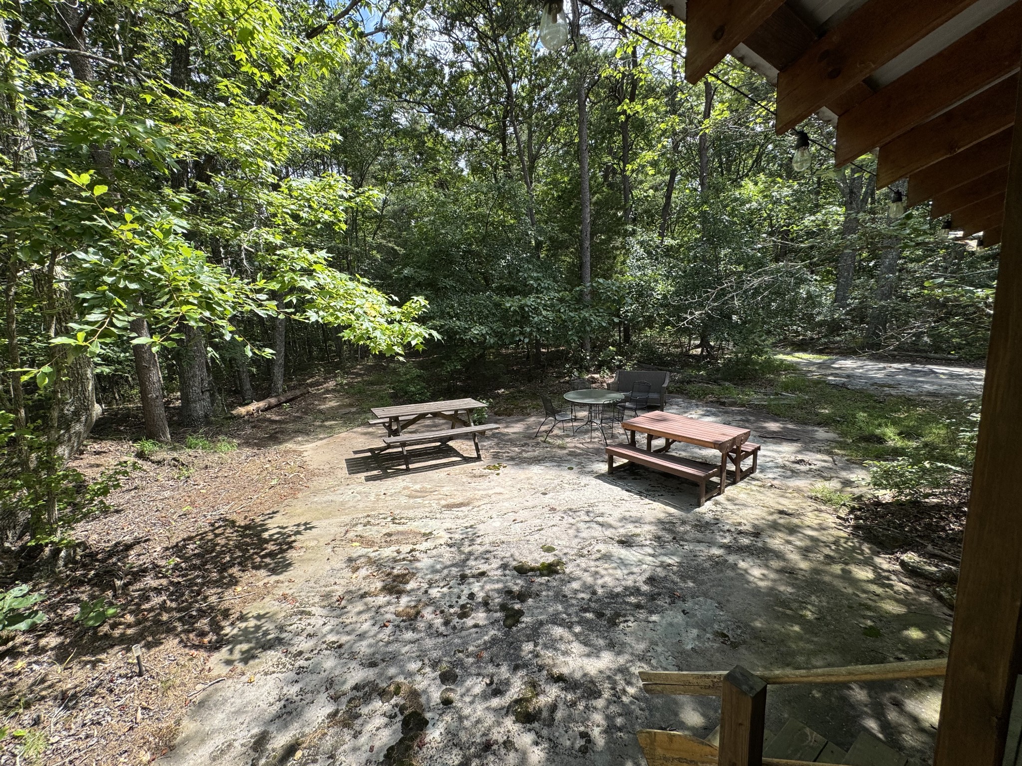 0 Indian Camp Creek Road Altamont, TN 37301 - Photo 24 of 24 a park view with a bench