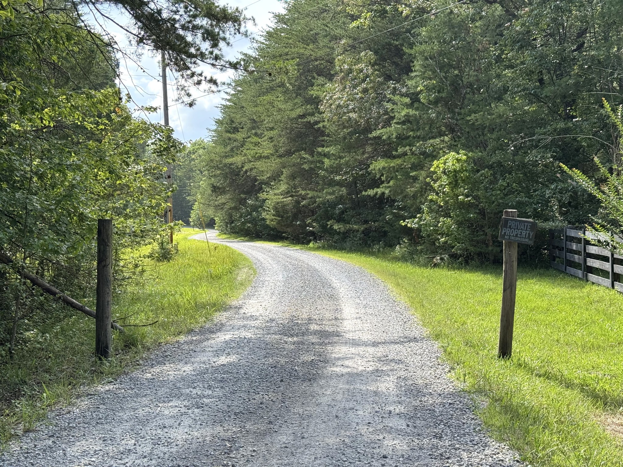 0 Indian Camp Creek Road Altamont, TN 37301 - Photo 4 of 24 a view of a park with large trees