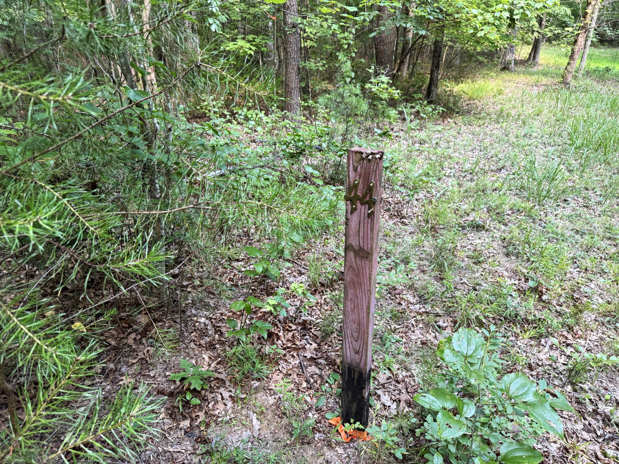 0 Indian Camp Creek Road Altamont, TN 37301 - Photo 6 of 24