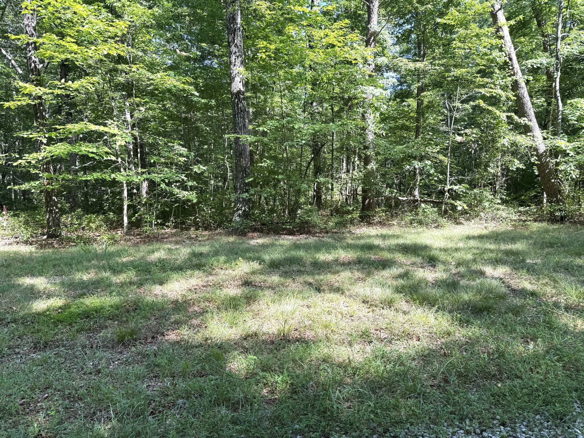 0 Indian Camp Creek Road Altamont, TN 37301 - Photo 8 of 24 a view of outdoor space with trees