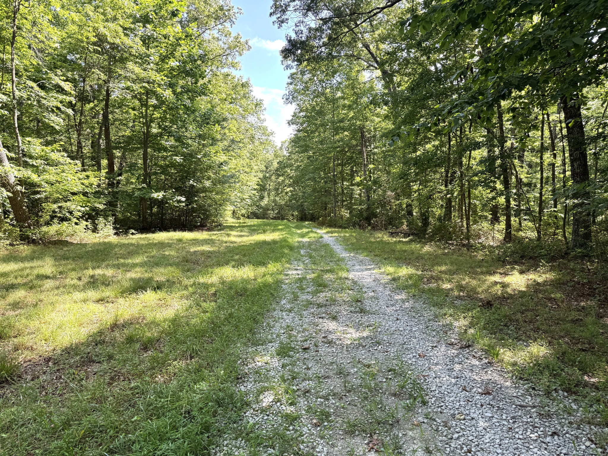 0 Indian Camp Creek Road Altamont, TN 37301 - Photo 9 of 24 a view of outdoor space with trees all around