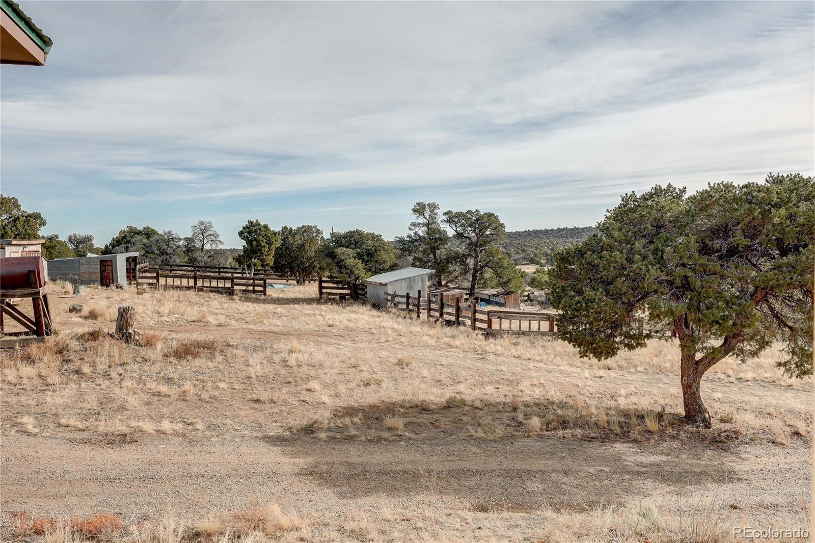 952 Twin Lakes Road Walsenburg, CO 81089 - Photo 39 of 47 a view of outdoor space with trees