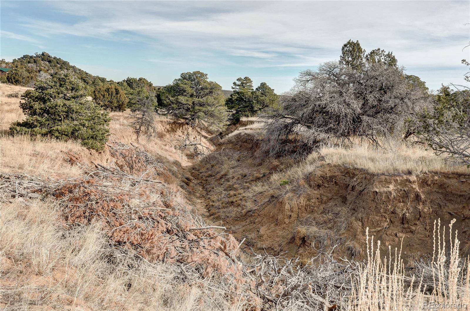 952 Twin Lakes Road Walsenburg, CO 81089 - Photo 40 of 47 a view of a dry yard with lots of bushes