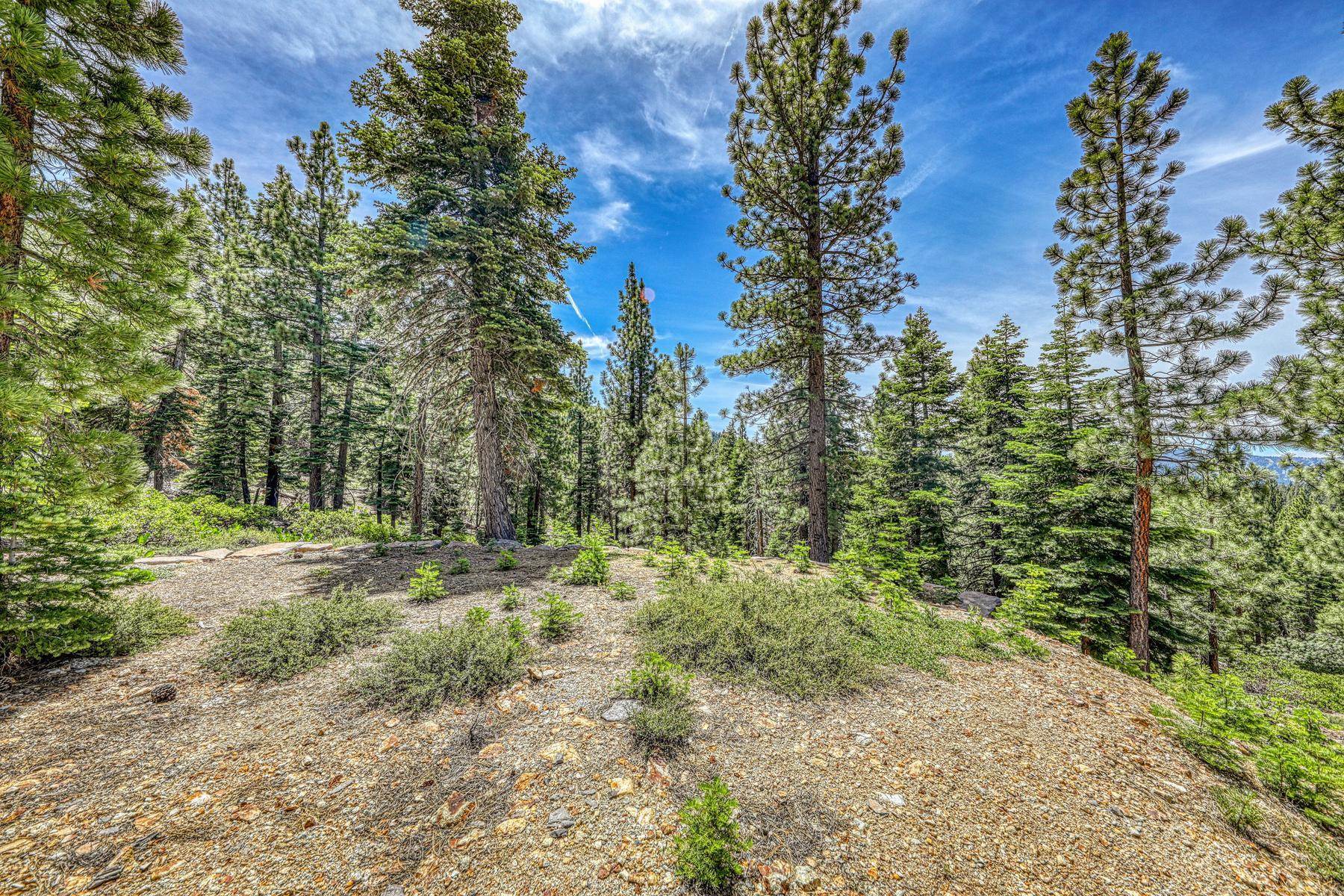 16145 Martis Peak Road Truckee, CA 96161 - Photo 3 of 21