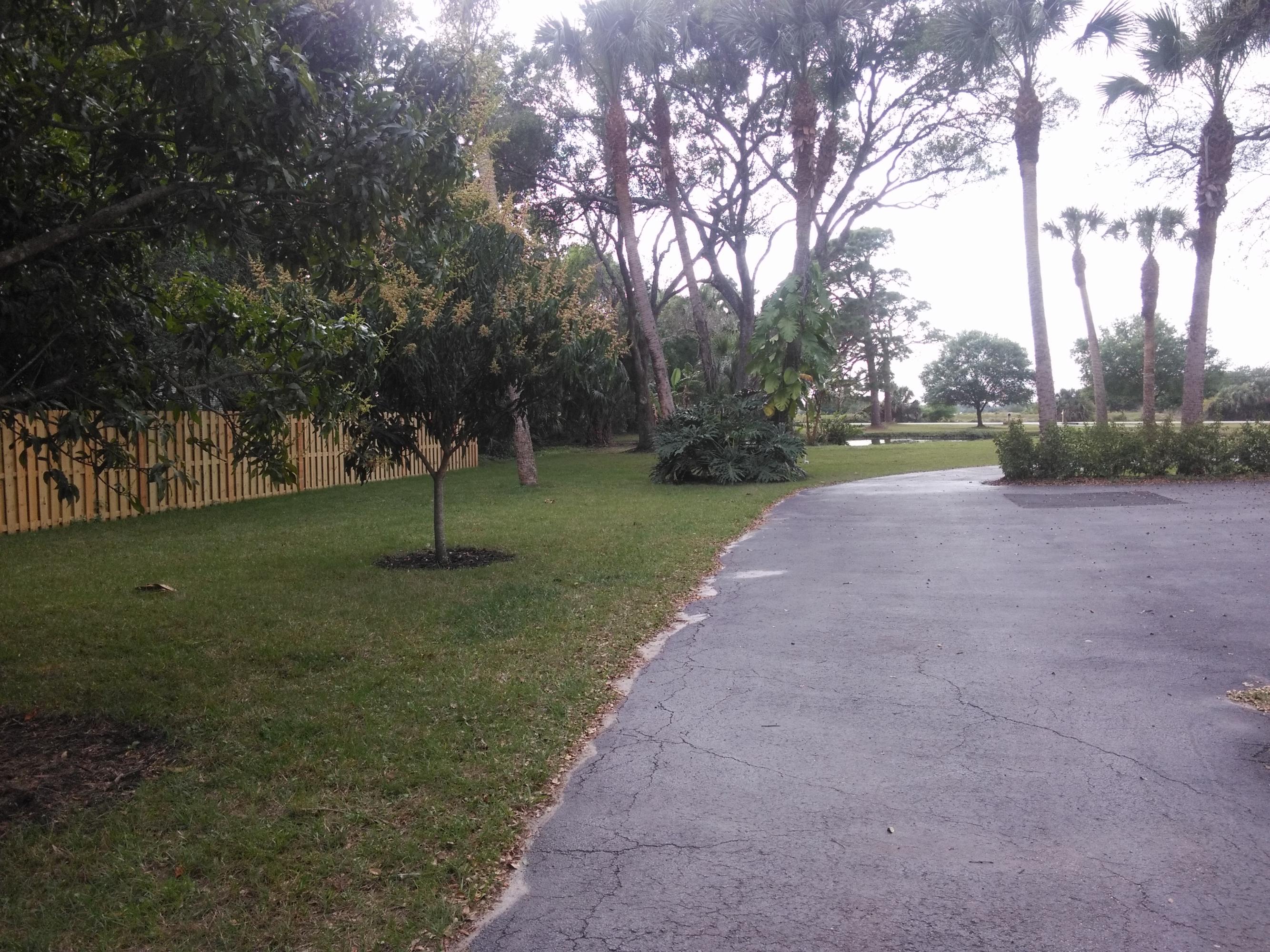 2376 Johnston Road Fort Pierce, FL 34951 - Photo 104 of 105 13_SouthSideYard1