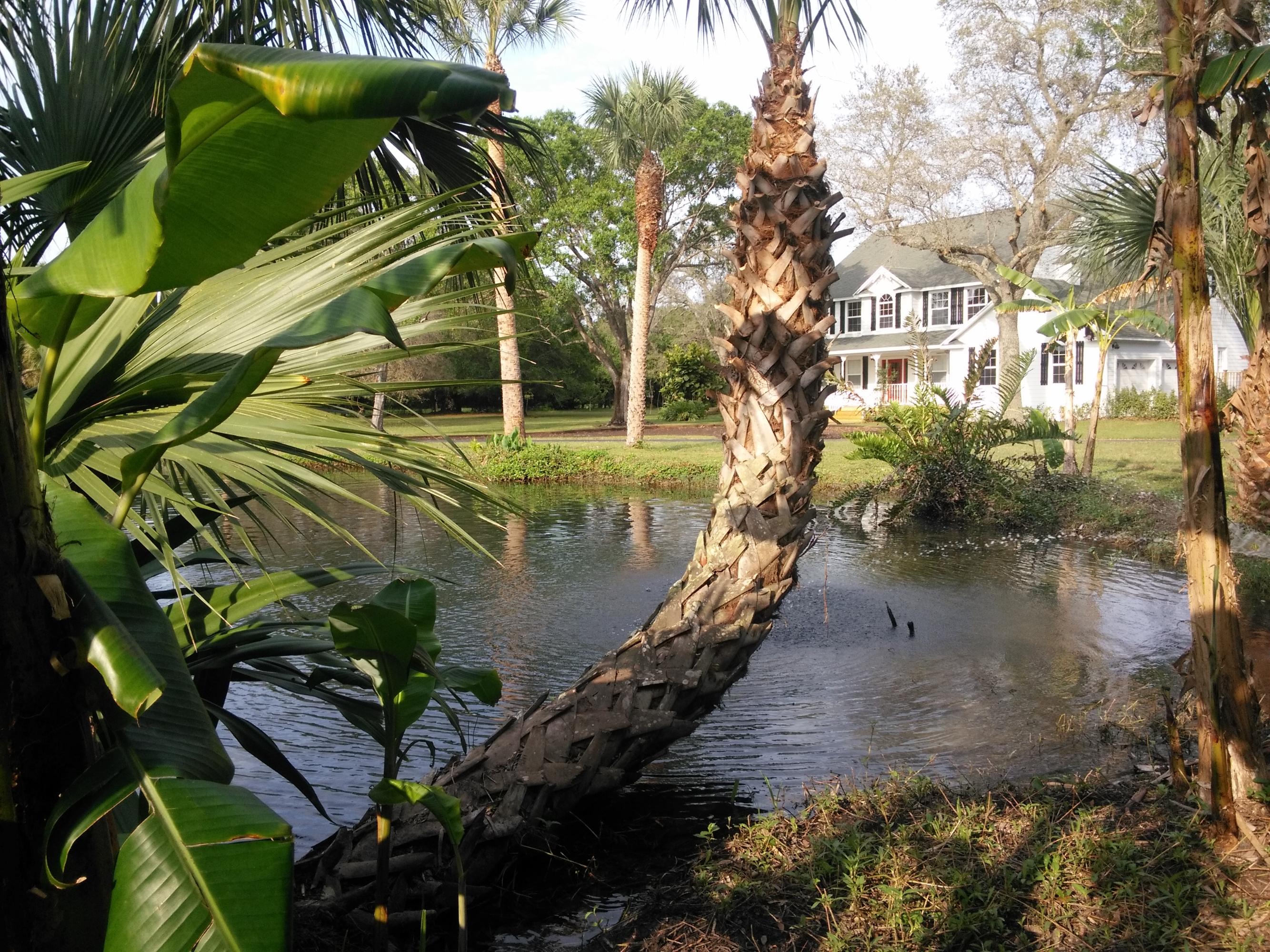 2376 Johnston Road Fort Pierce, FL 34951 - Photo 7 of 105 01_FrontView6