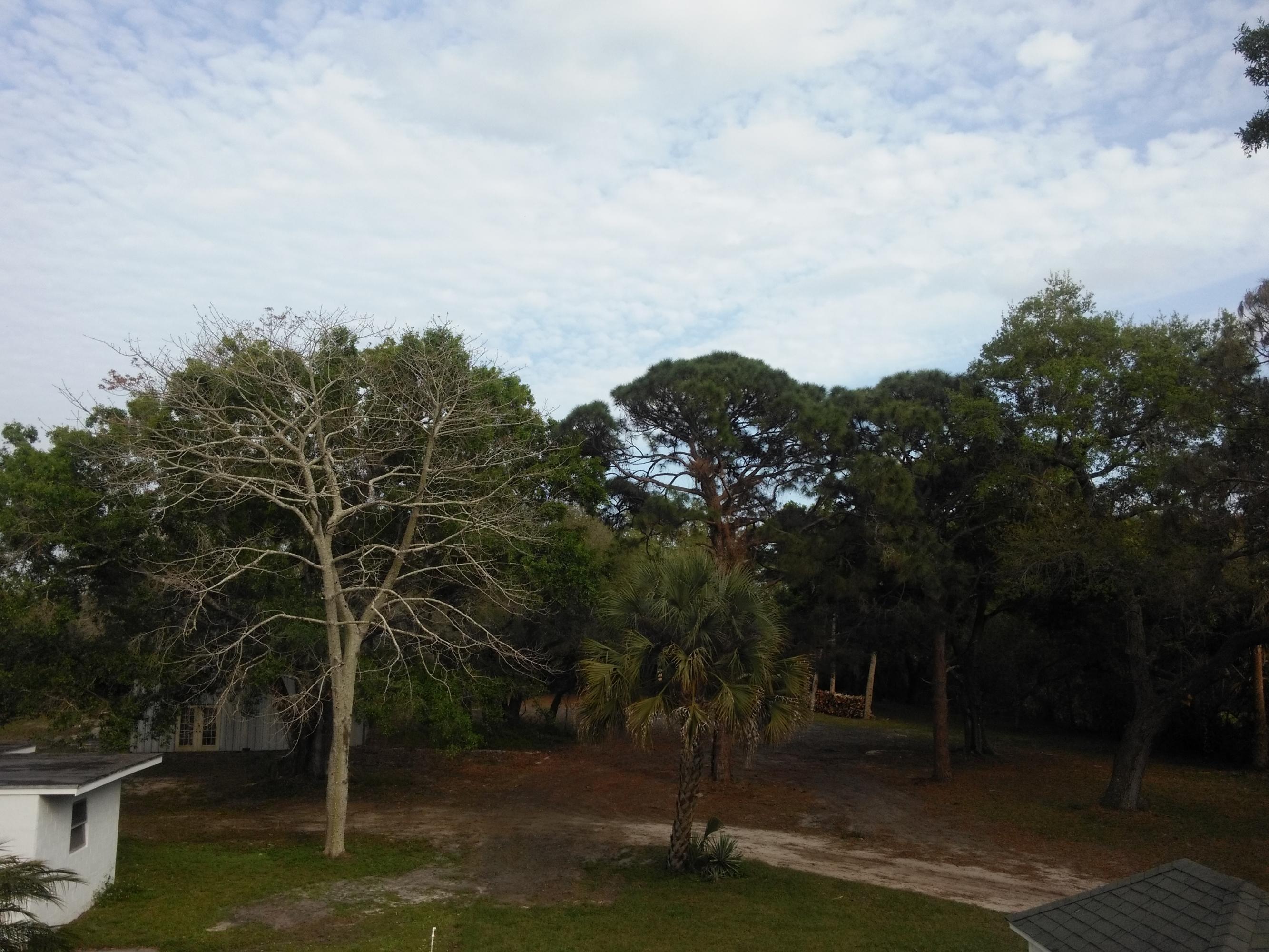 2376 Johnston Road Fort Pierce, FL 34951 - Photo 90 of 105 13_BackYard3