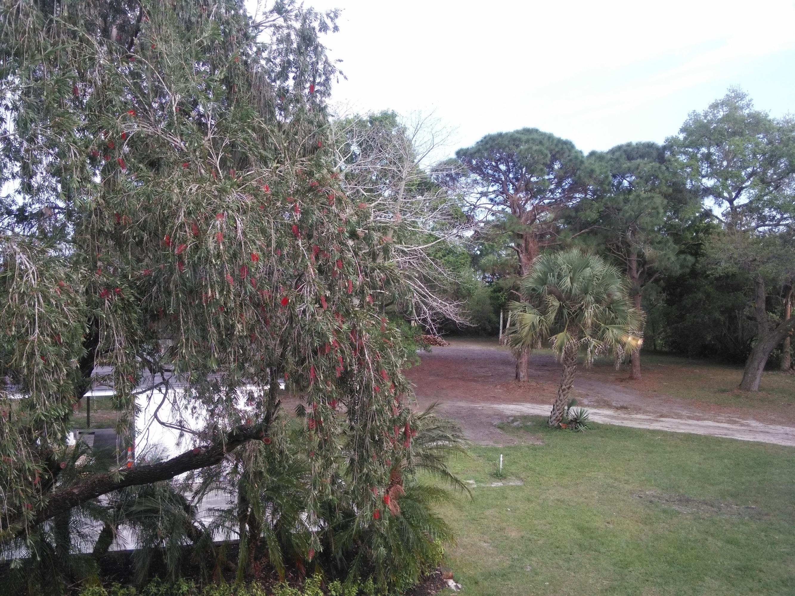 2376 Johnston Road Fort Pierce, FL 34951 - Photo 91 of 105 13_BackYard4