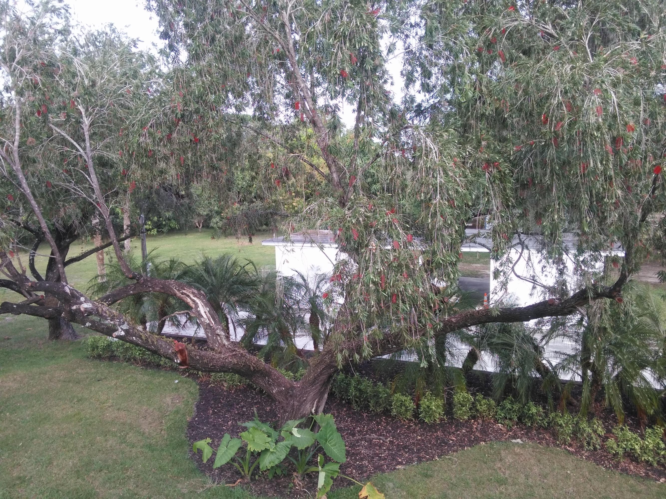 2376 Johnston Road Fort Pierce, FL 34951 - Photo 92 of 105 13_BackYard5