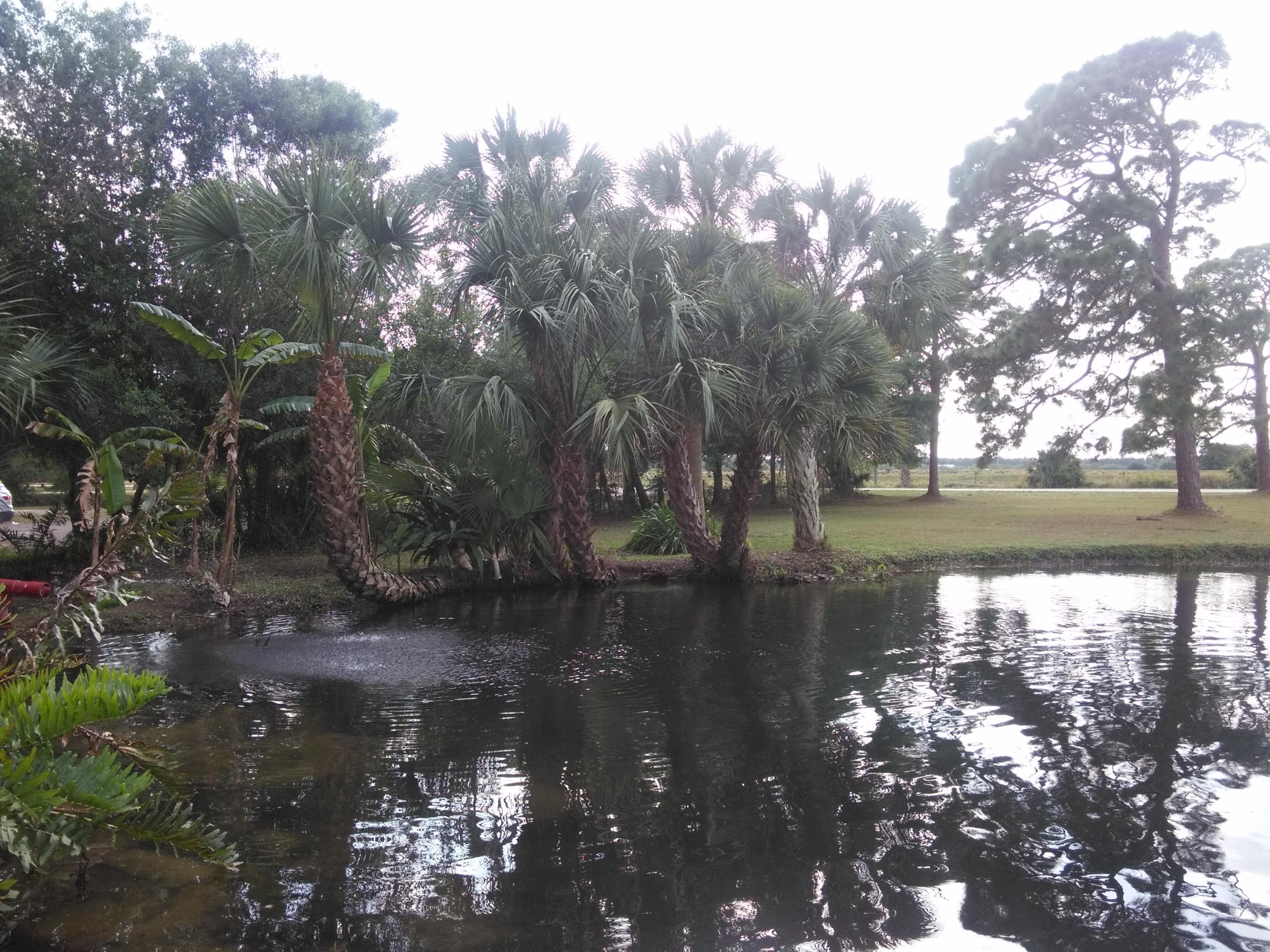 2376 Johnston Road Fort Pierce, FL 34951 - Photo 96 of 105 13_FrontYard1