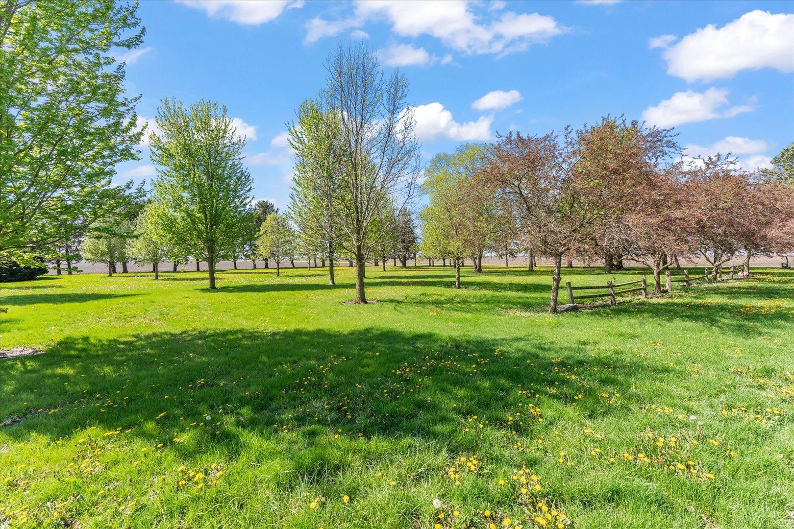 2501 North 4100 East Road Bellflower, IL 61724 - Photo 47 of 51