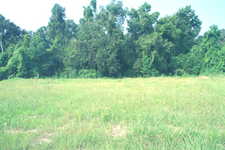 1814 West Pinhook Road Lafayette, LA 70508 - Photo 1 of 1 Primary Photo
