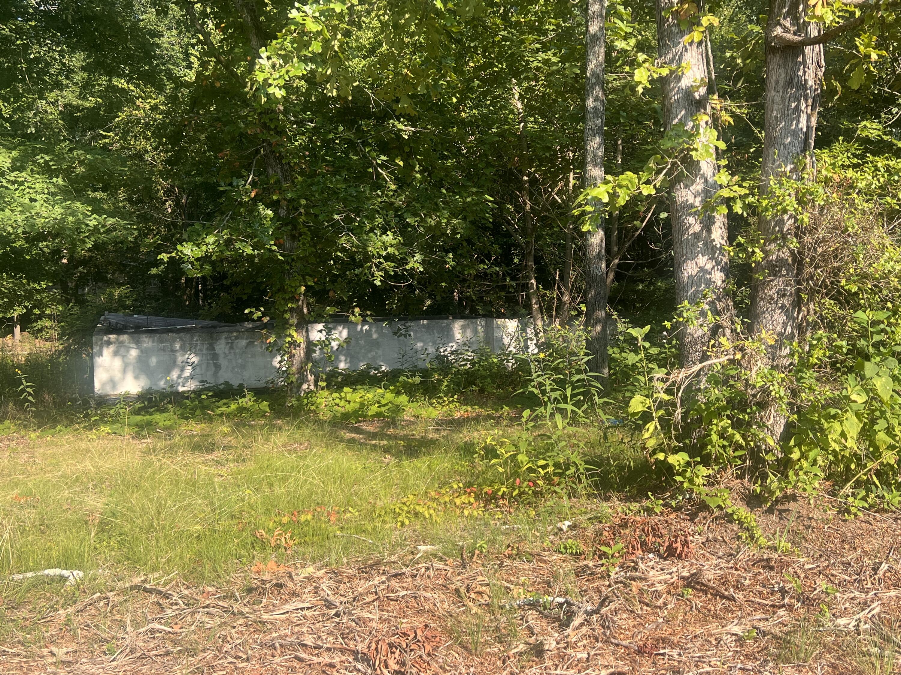 169 Prince Road Trenton, GA 30752 - Photo 2 of 6 2197A7FE-4EF0-44B9-BE23-6EB472A1BC73
