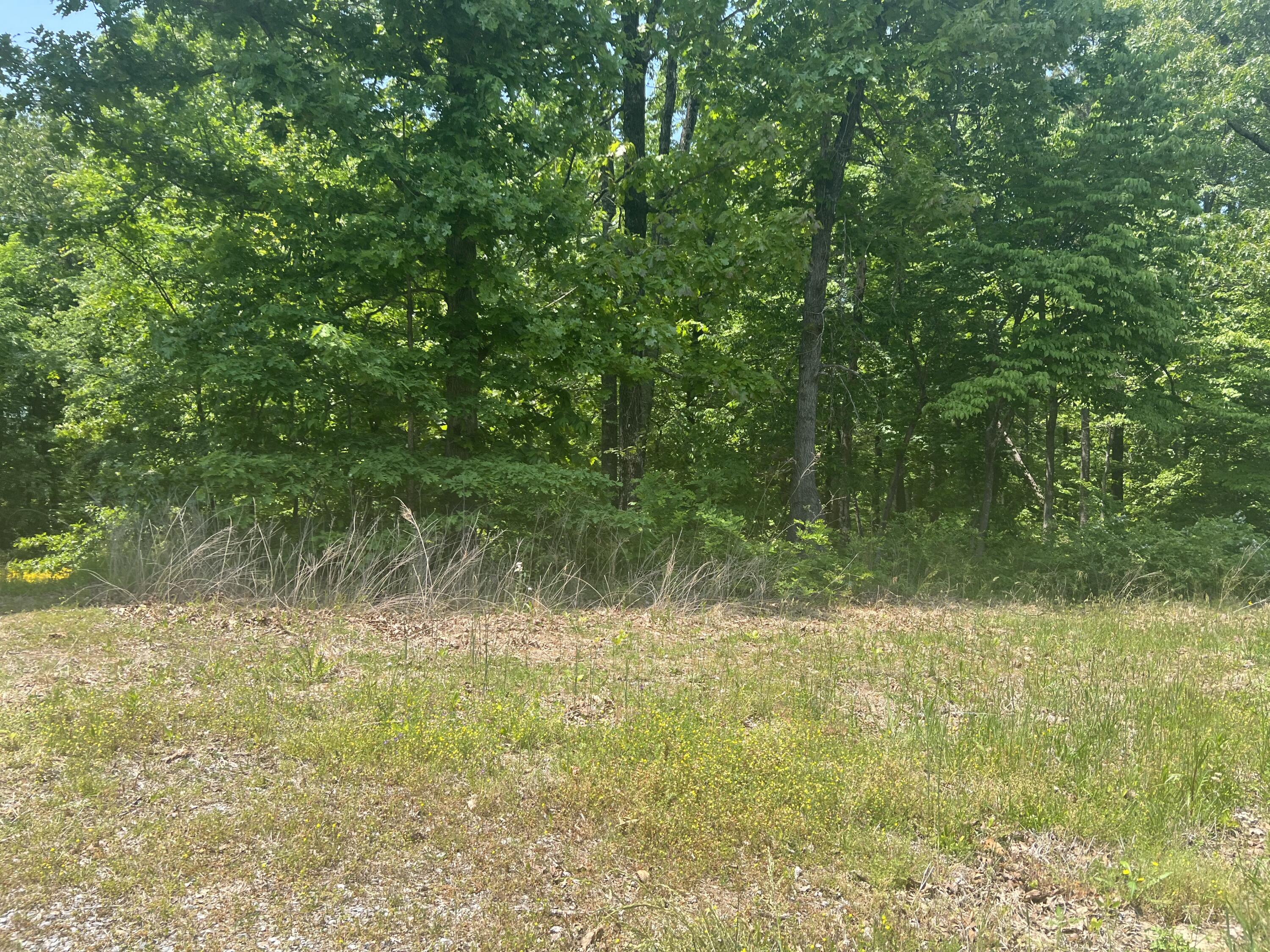 169 Prince Road Trenton, GA 30752 - Photo 4 of 6 5E884C85-78D7-410C-9CAD-4094BCC72BAA