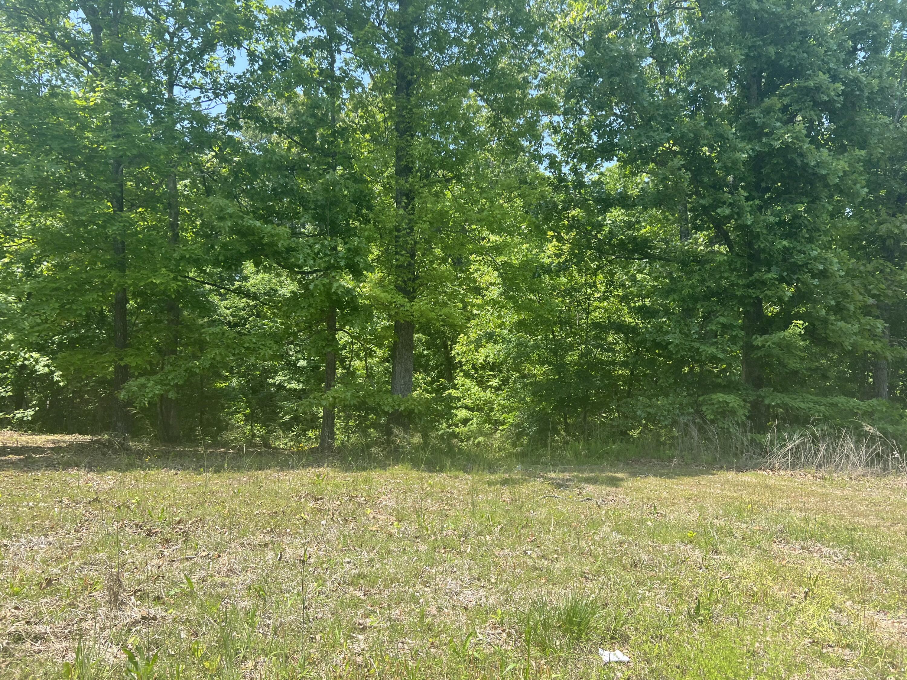 169 Prince Road Trenton, GA 30752 - Photo 6 of 6 DFD49748-8D08-41E7-B95E-C08EB2146CDC