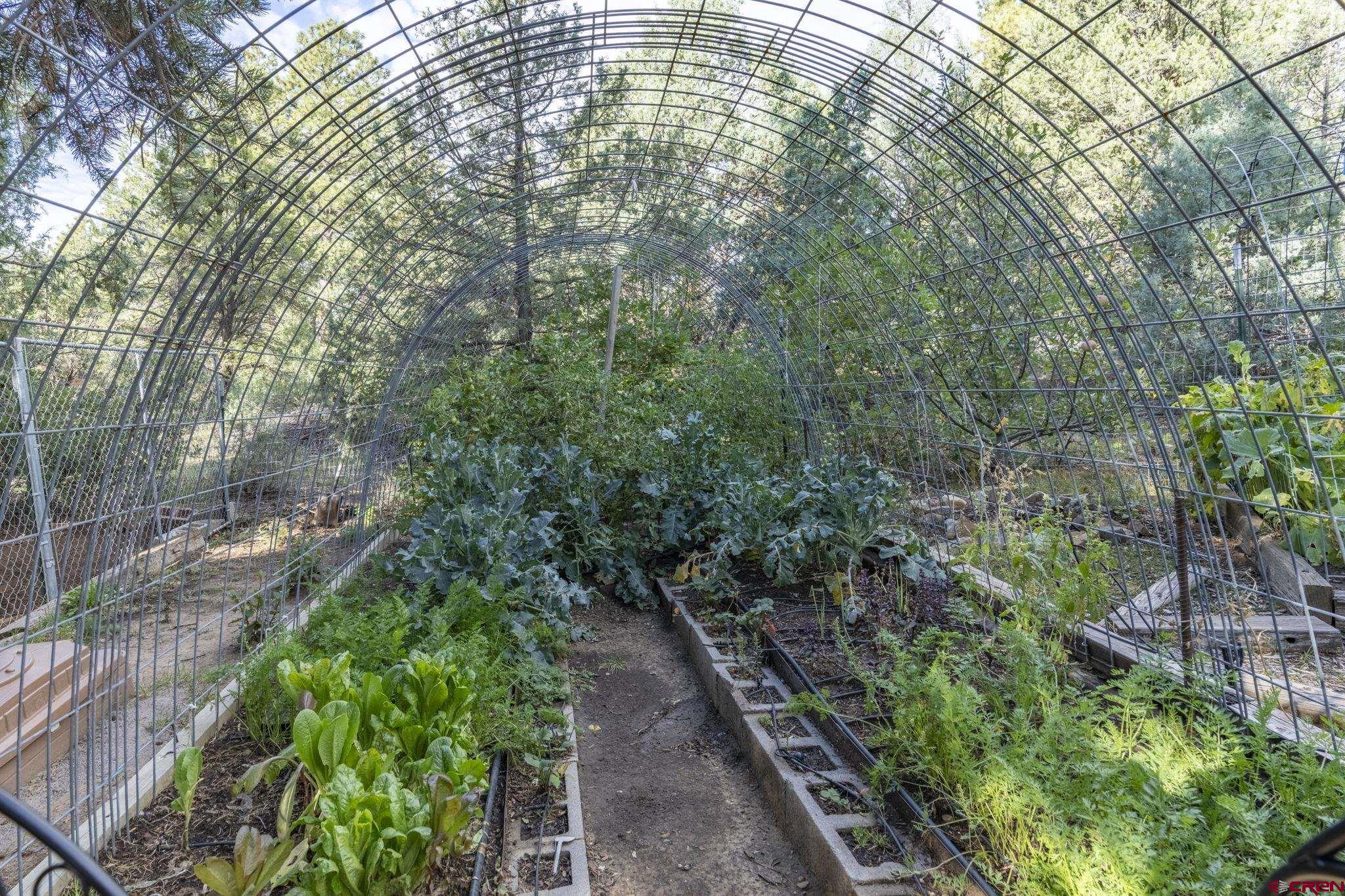 564 Spring Road Durango, CO 81303 - Photo 18 of 45 a aerial view of a yard