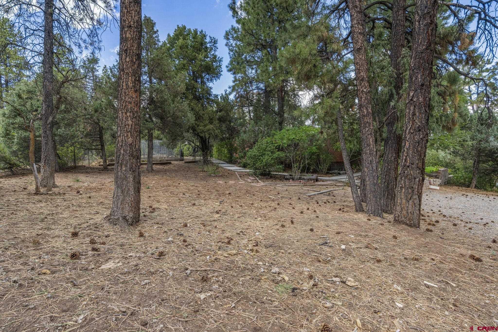 564 Spring Road Durango, CO 81303 - Photo 39 of 45 a view of a forest with trees in the background