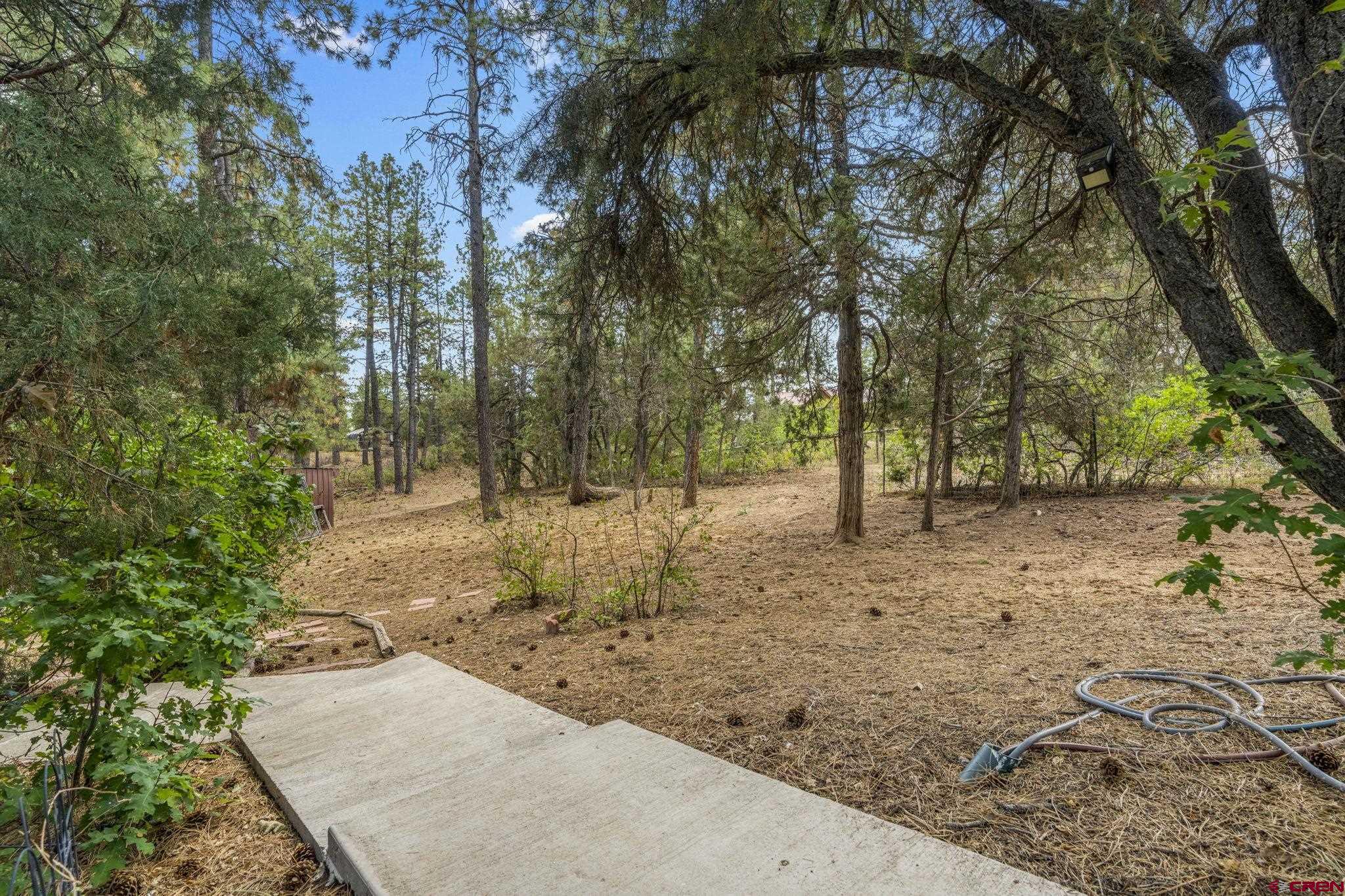 564 Spring Road Durango, CO 81303 - Photo 43 of 45 a view of a yard with plants and trees