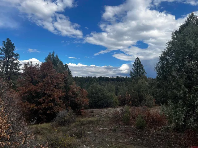 a view of a city with lush green forest