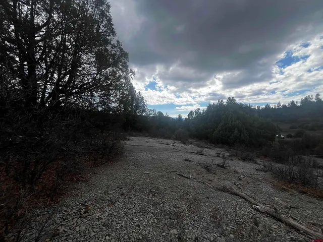 a view of a backyard of a house