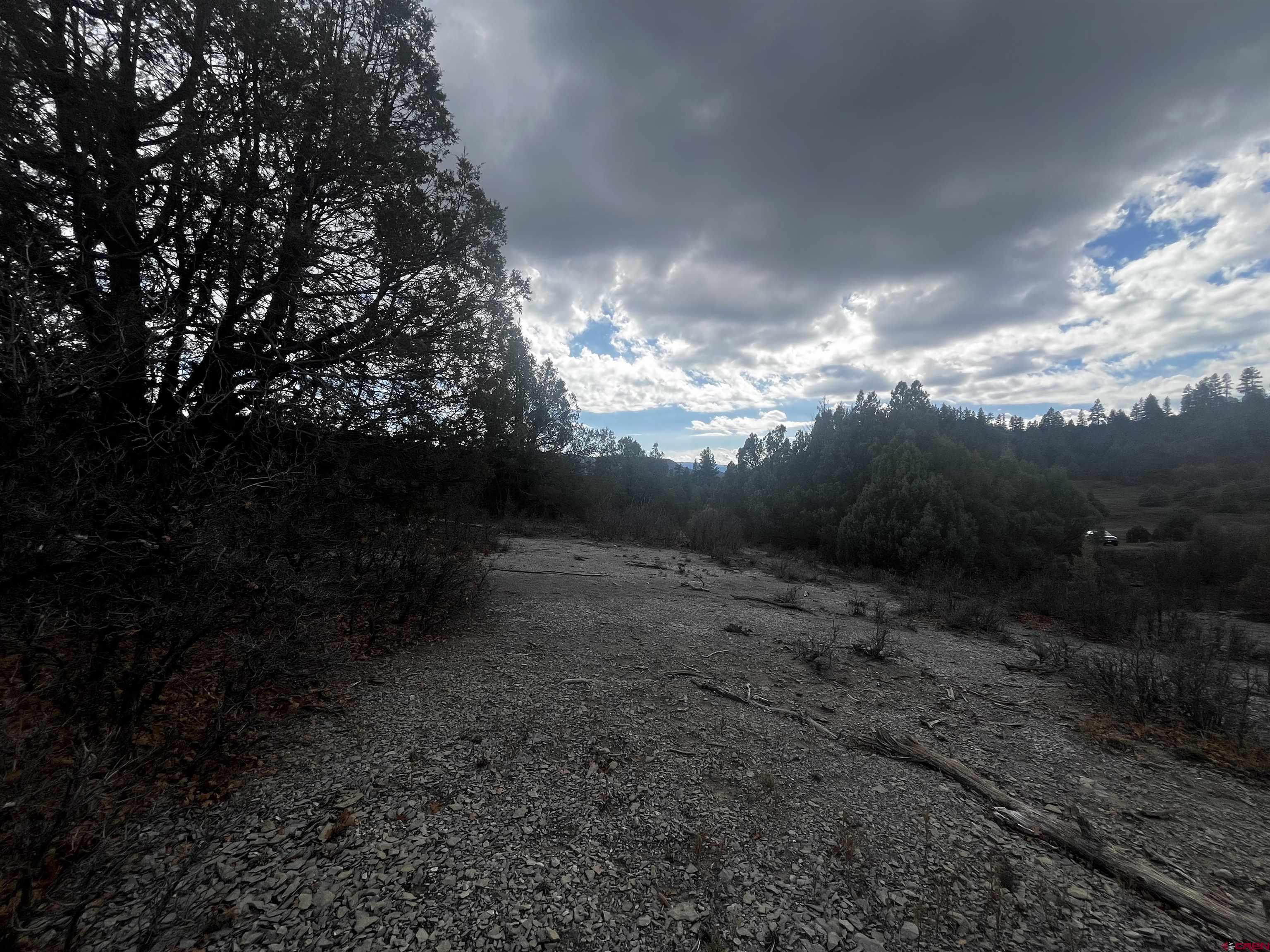 1146 Harvard Avenue Pagosa Springs, CO 81147 - Photo 11 of 26 a view of outdoor space and yard