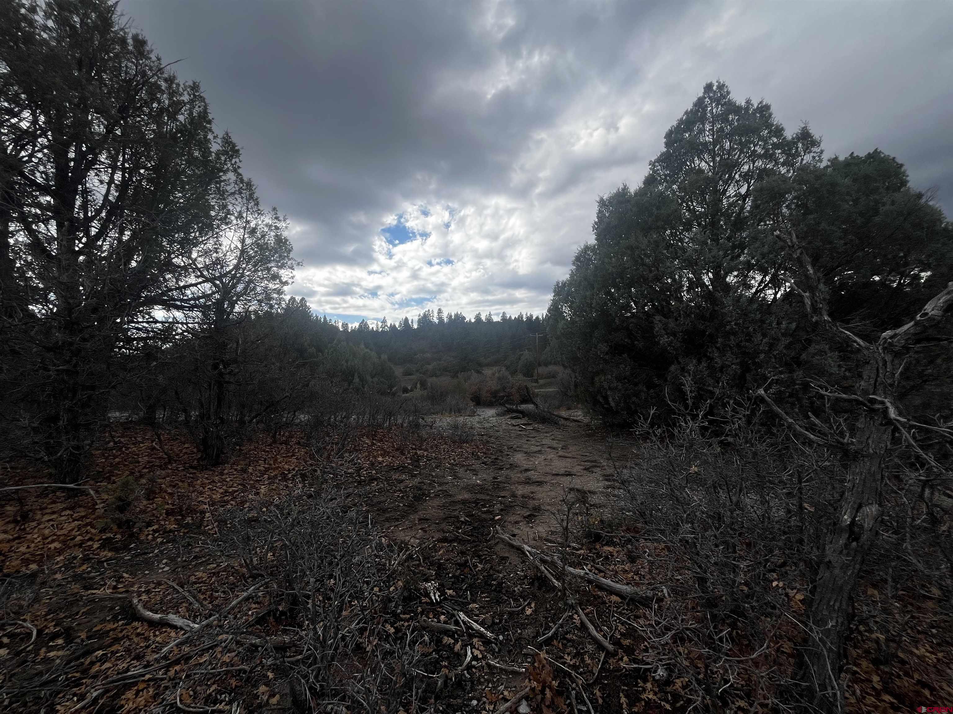 1146 Harvard Avenue Pagosa Springs, CO 81147 - Photo 12 of 26 a view of a backyard of a house