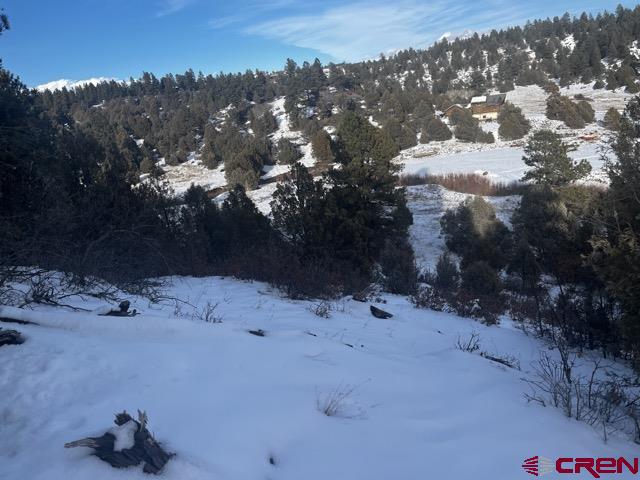 1146 Harvard Avenue Pagosa Springs, CO 81147 - Photo 15 of 26