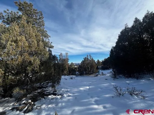 a view of swimming pool with a yard