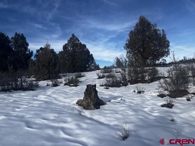 1146 Harvard Avenue Pagosa Springs, CO 81147 - Photo 18 of 26 a view of swimming pool with a yard