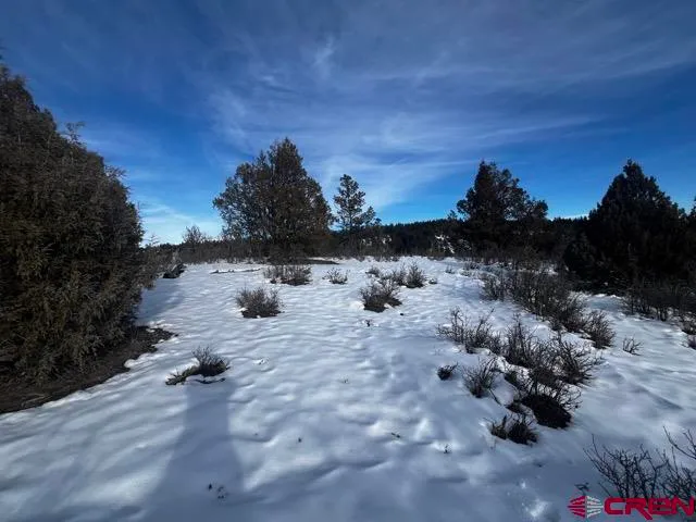 a view of a city with lots of green space