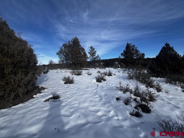 1146 Harvard Avenue Pagosa Springs, CO 81147 - Photo 19 of 26 a view of a yard