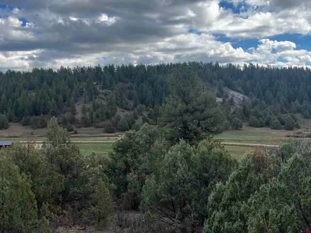 a view of outdoor space and green space