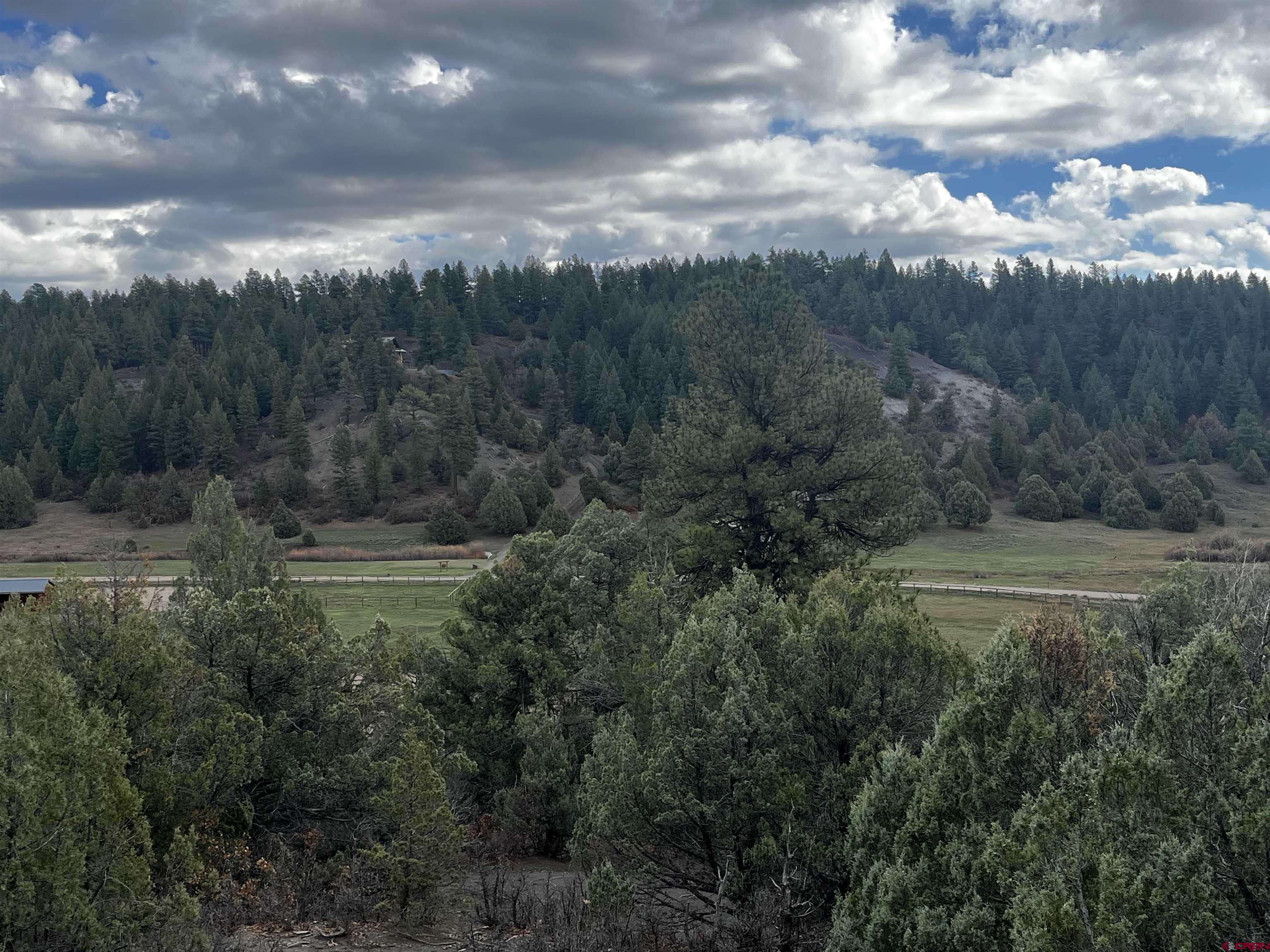 1146 Harvard Avenue Pagosa Springs, CO 81147 - Photo 2 of 26 a view of outdoor space and green space