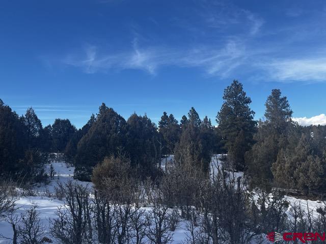 1146 Harvard Avenue Pagosa Springs, CO 81147 - Photo 21 of 26 a view of a city with lots of green space