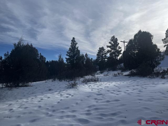 1146 Harvard Avenue Pagosa Springs, CO 81147 - Photo 24 of 26 a view of outdoor space and yard