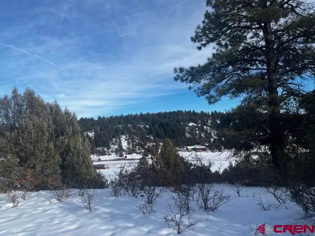 $159,500 | 1146 Harvard Avenue, Pagosa Springs, CO 81147