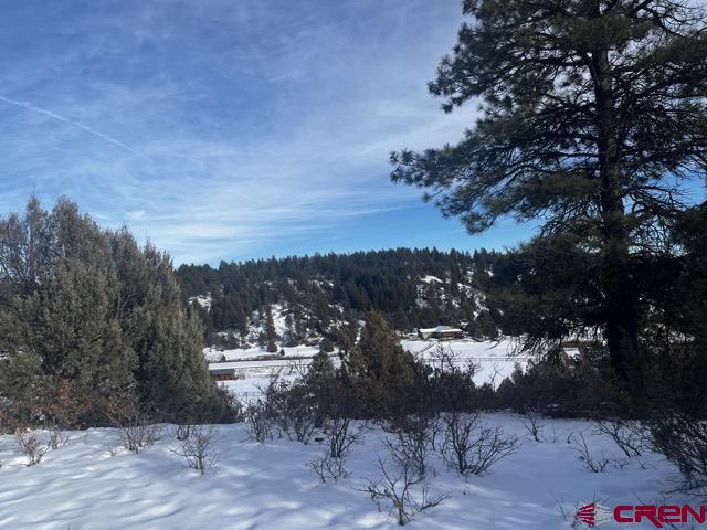 1146 Harvard Avenue Pagosa Springs, CO 81147 - Photo 25 of 26 a view of a outdoor space