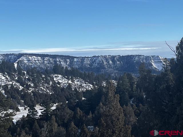 1146 Harvard Avenue Pagosa Springs, CO 81147 - Photo 26 of 26 a view of sky from balcony