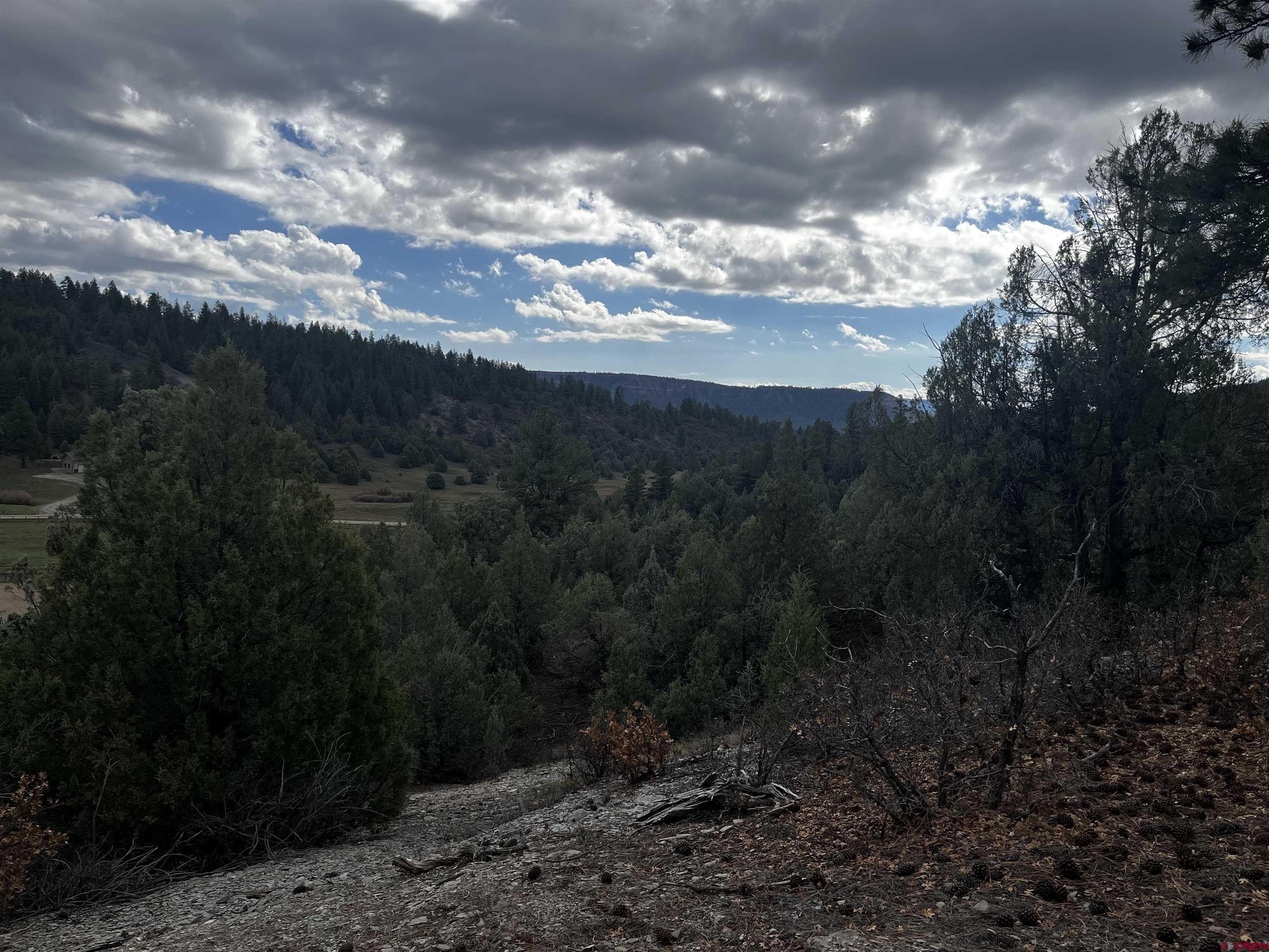 1146 Harvard Avenue Pagosa Springs, CO 81147 - Photo 6 of 26 a view of outdoor space and yard