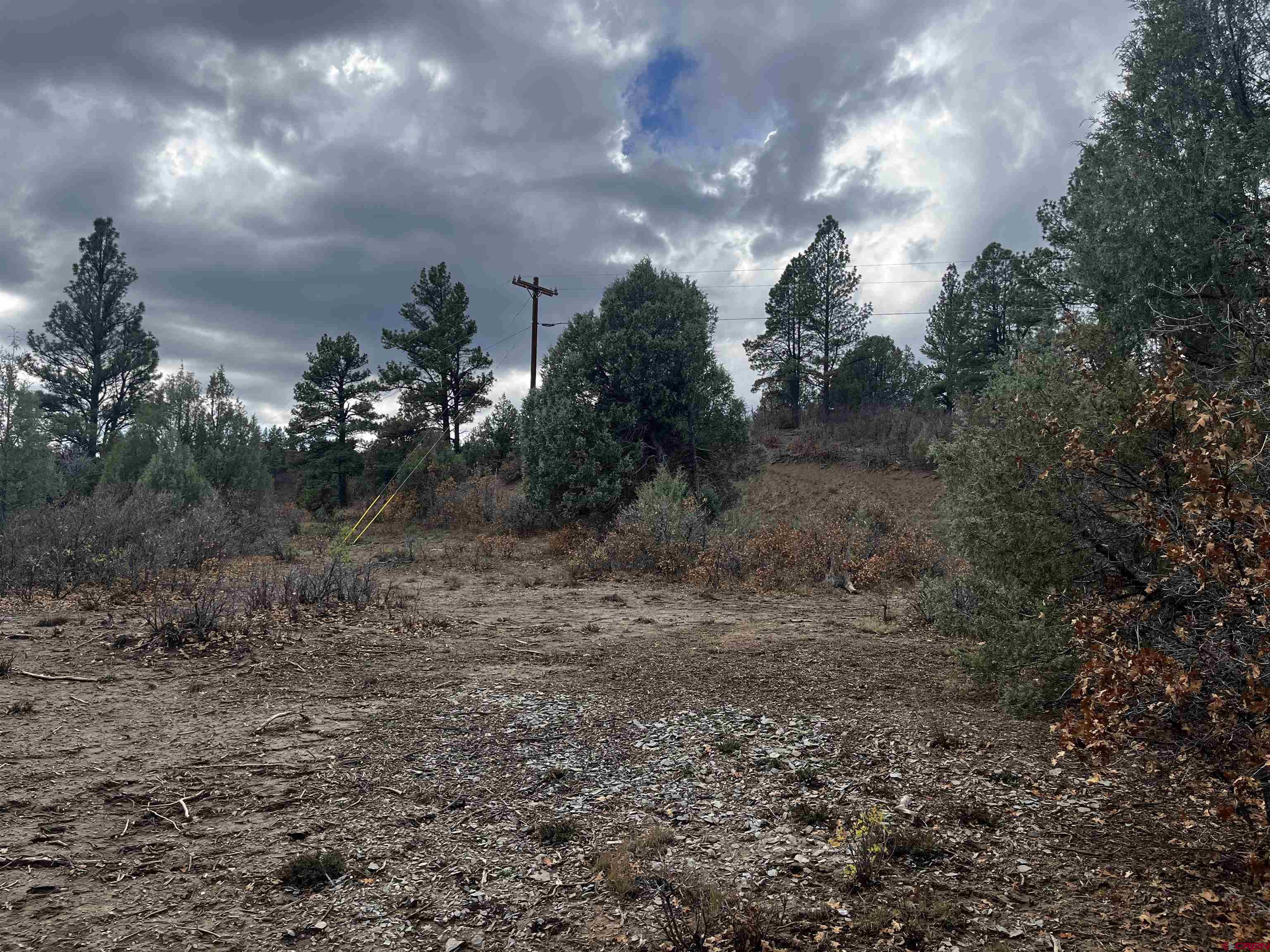 1146 Harvard Avenue Pagosa Springs, CO 81147 - Photo 8 of 26 a view of a dry yard with trees and stairs
